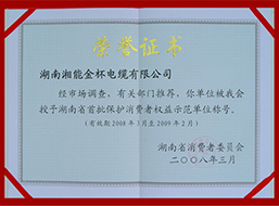 2008年度湖南省首批保护消费者权益示范单位称号（2008-2009年）.JPG