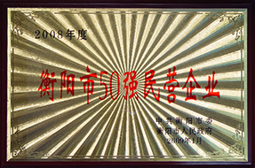 2009年度衡阳市50强民营企业（2008年）.JPG
