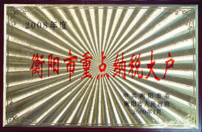 2009年度衡阳市重点纳税大户（2008年）.JPG