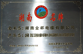 2009年度湖南名牌1.JPG