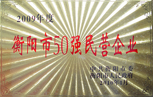 2010年度衡阳市50强民营企业（2009年）.JPG