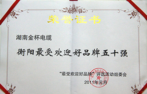 2011年度衡阳市最受欢迎好品牌五十强2.jpg