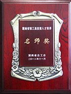 2012年度湖南省职工高技能人才培养名师奖.jpg