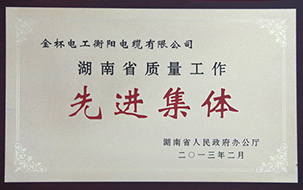 2013年度湖南省质量工作先进集体.jpg