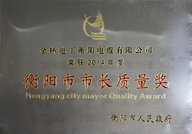 2015年度衡阳市长质量奖（2014年）.jpg